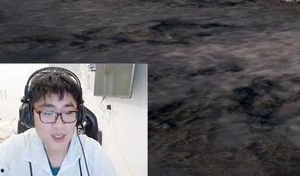 吃鸡爆料某主播视频大全,视频大全亮点回顾