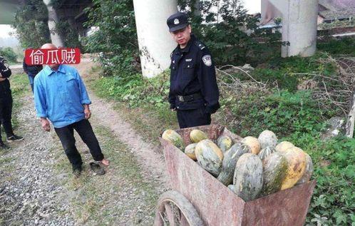 盐山网红吃瓜事件视频,一场网络狂欢背后的真相揭秘 第1张 盐山网红吃瓜事件视频,一场网络狂欢背后的真相揭秘 第1张